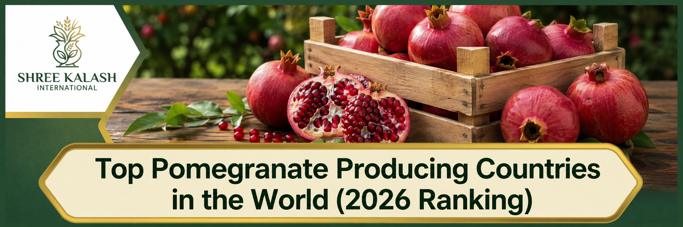 Top Pomegranate Producing Countries in the World 2026